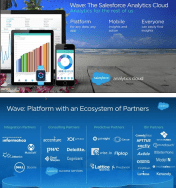 Wave: The new Salesforce analytics cloud #df14